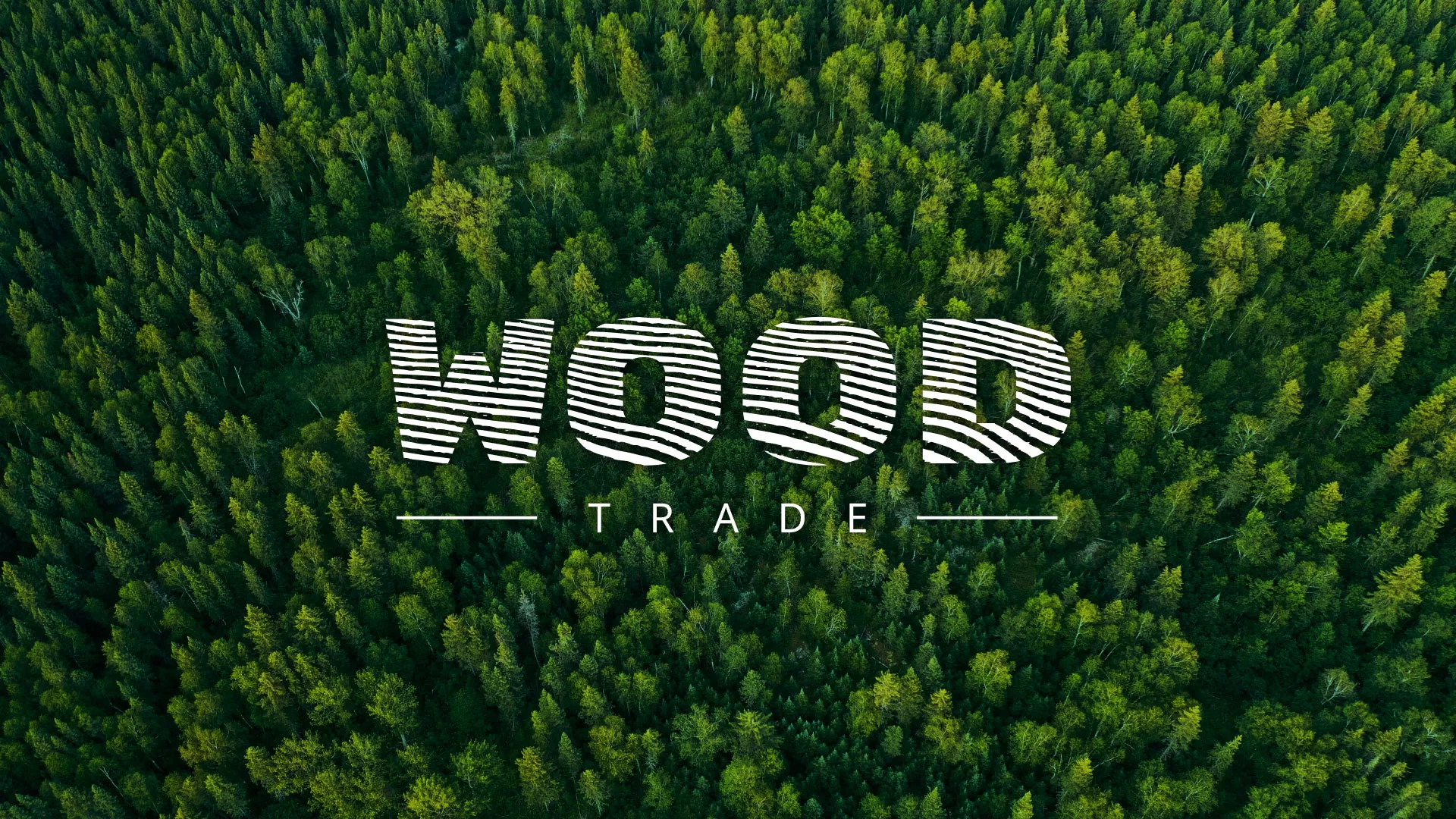 Разработка интернет-магазина компании «Wood Trade» в Владивостоке