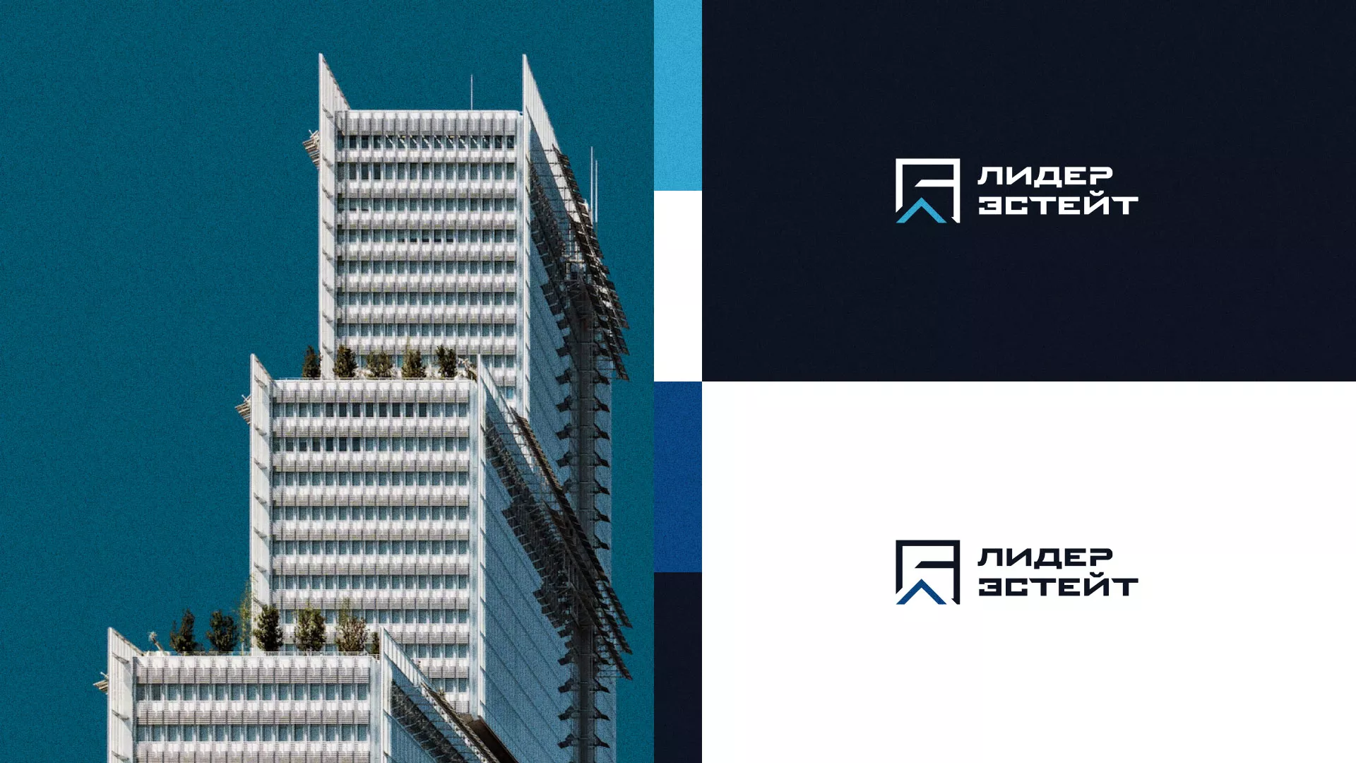 Разработка логотипа агентства недвижимости «Лидер Эстейт» в Владивостоке