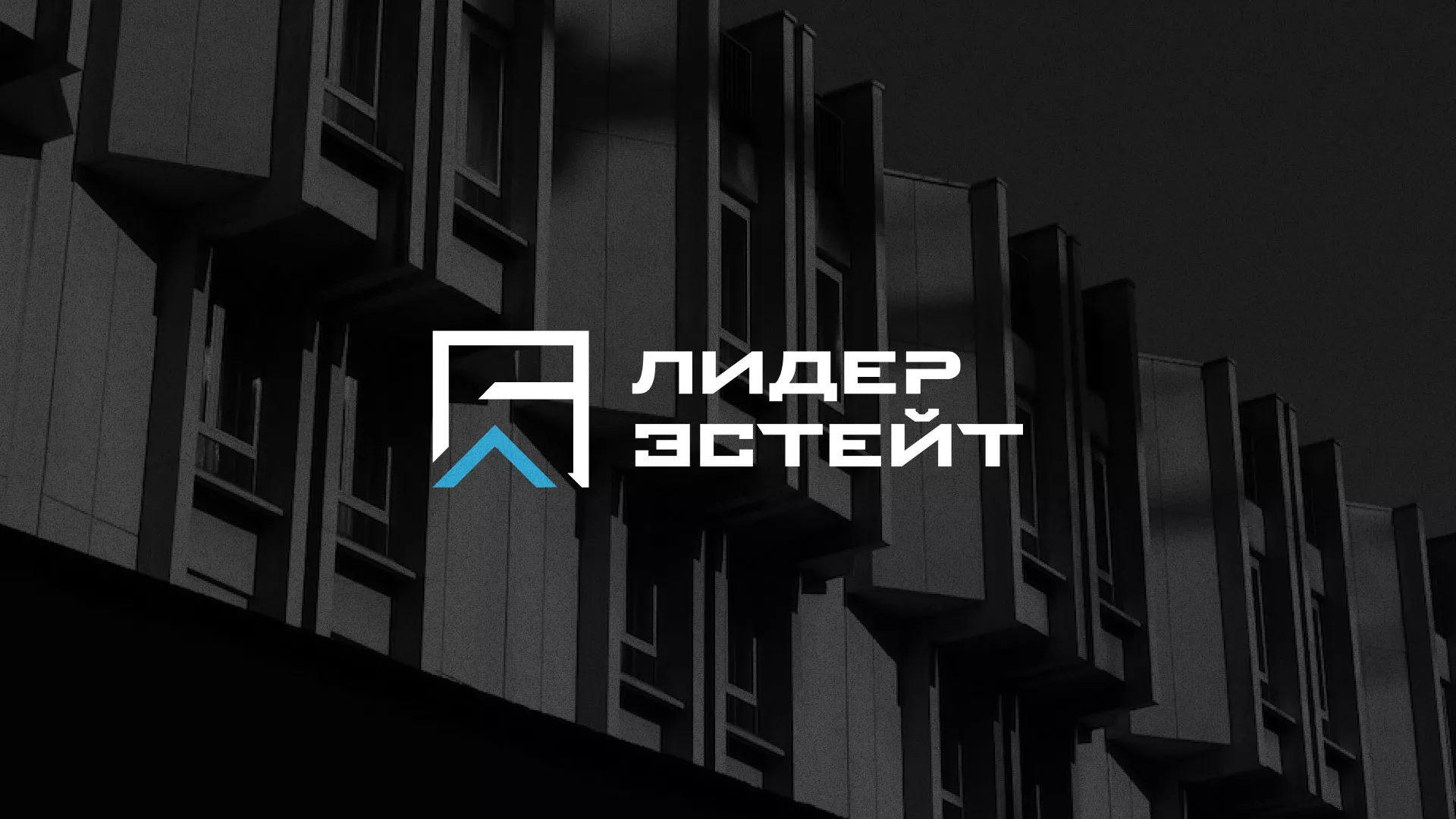 Разработка логотипа агентства недвижимости «Лидер Эстейт» в Владивостоке